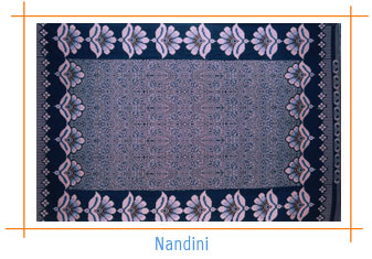 nandini solapur